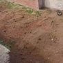 top soil Image 3