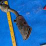 Sievert Propane Torch with flat nozzle. Image 4