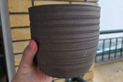 Plant pot