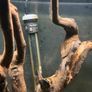 fish tank Image 4