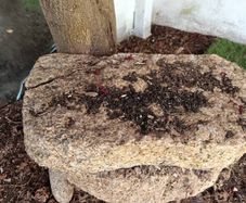 granite stepping stones