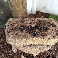 granite stepping stones