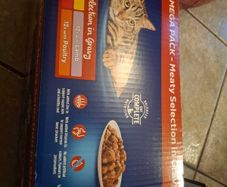 cat food