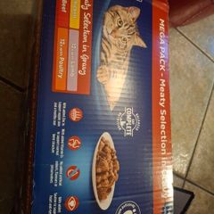 cat food