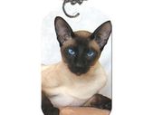 personalised pet tags keyring