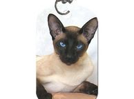 main image for ad personalised pet tags keyring