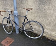 Fuji Feather size M/L