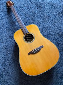 SX DG100E Electro Acoustic Guitar + Boston Padded Gigbag