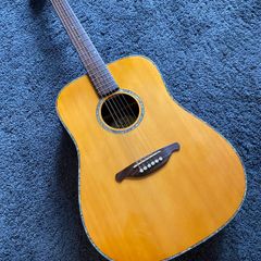 SX DG100E Electro Acoustic Guitar + Boston Padded Gigbag