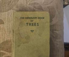 The Observer's Book Of Trees. Minature 1968 Hardback In Good Condition.  See Photos For Same.