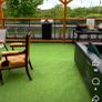 garden Image 5