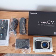 Lumix GM1