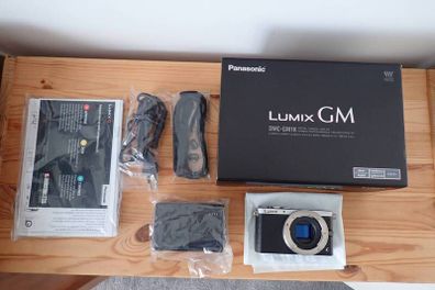 Lumix GM1