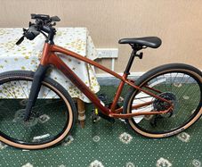 TREK dual Sport
