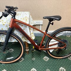 TREK dual Sport