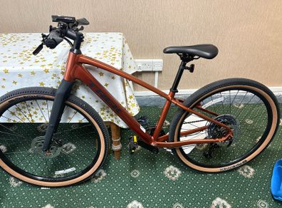 TREK dual Sport