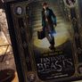 Inside the Magic: The Making of Fantastic Beasts and Where to Find Them ! Hardcover ! 2016 ! by Harper Collins ! Harry Potter ! Image 2