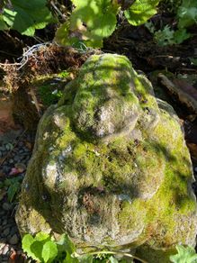 Garden Statue Buhda