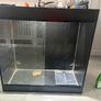 Large Terrarium Image 4