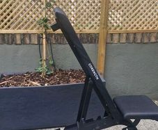 Weight Bench