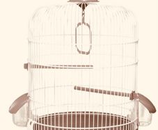 bird cage