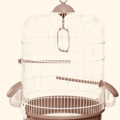 bird cage
