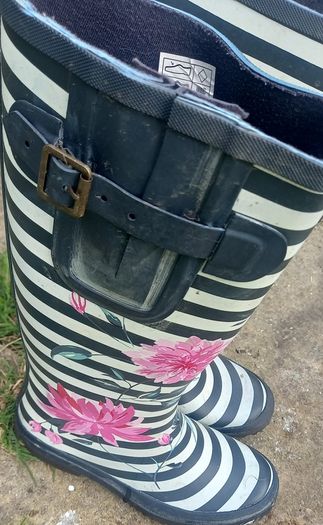 ladies wellies