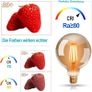 Vintage Bulb, G95 E27 LED Filament Lamp Image 7