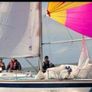 Westerly GK 24 Go Kart  Classic Racer/Cruiser Image 5