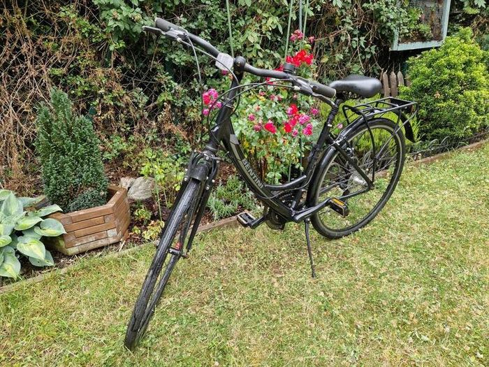 Bentini Discovery Ladies Hybrid Bicycle