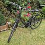 Bentini Discovery Ladies Hybrid Bicycle Image 2