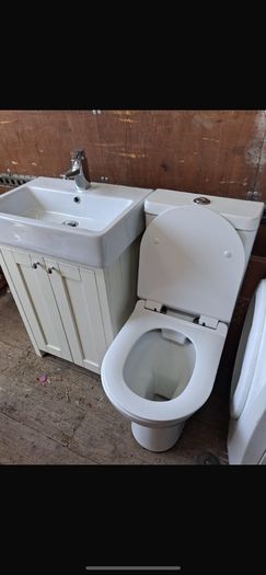 sink & toilet