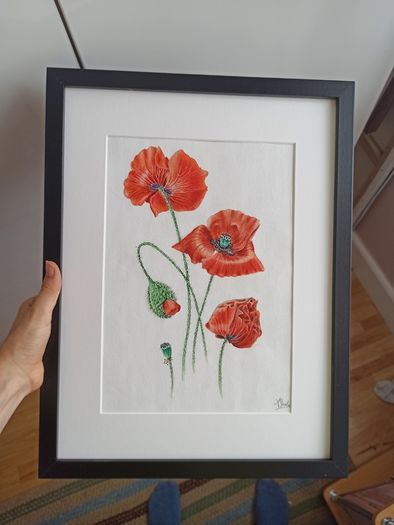 Original poppy painting