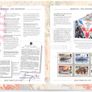 1995 Jersey (Channel Islands) Stamp Year Book (softback) issued by Jersey Post with 14 images of contents Image 8