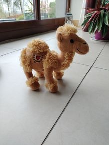 teddy