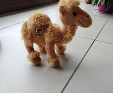 teddy