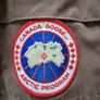 Canada Goose Image 4