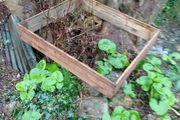 Raised bed