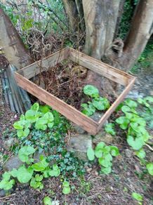 Raised bed