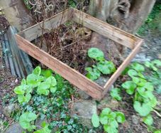 Raised bed