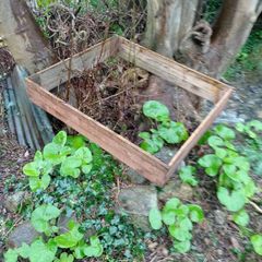 Raised bed