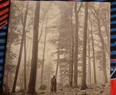 Taylor Swift - Folklore "In The Trees" (2LP) Deluxe Edition Beige Vinyl