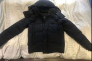 canada goose