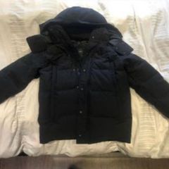 canada goose