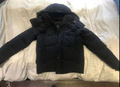 canada goose