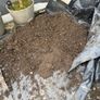 Free soil Image 3