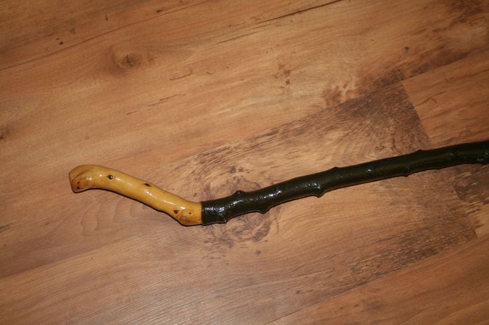 Walking stick