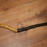 Walking stick Image 5