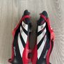 Pro Predators + Bag Image 5