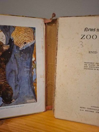 Enid Blyton 1st Ed Zoo Book 1933